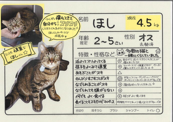 ほし