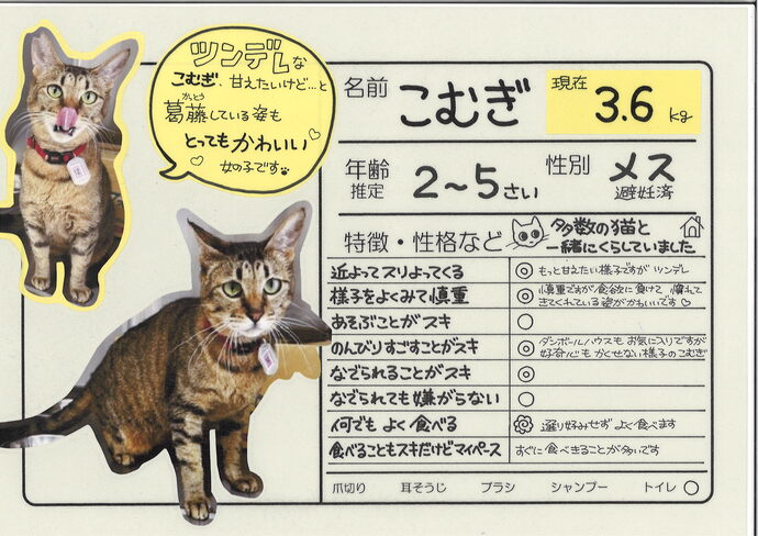 こむぎ