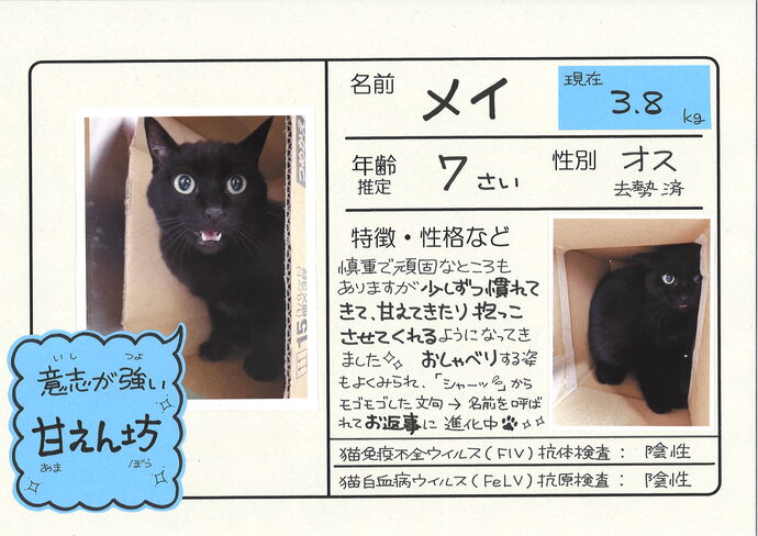 めい