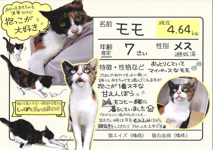 もも(外部リンク・新しいウィンドウで開きます)