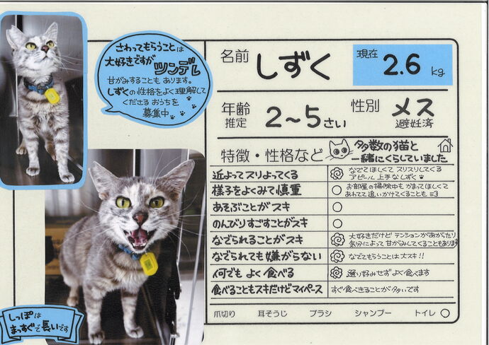 しずく