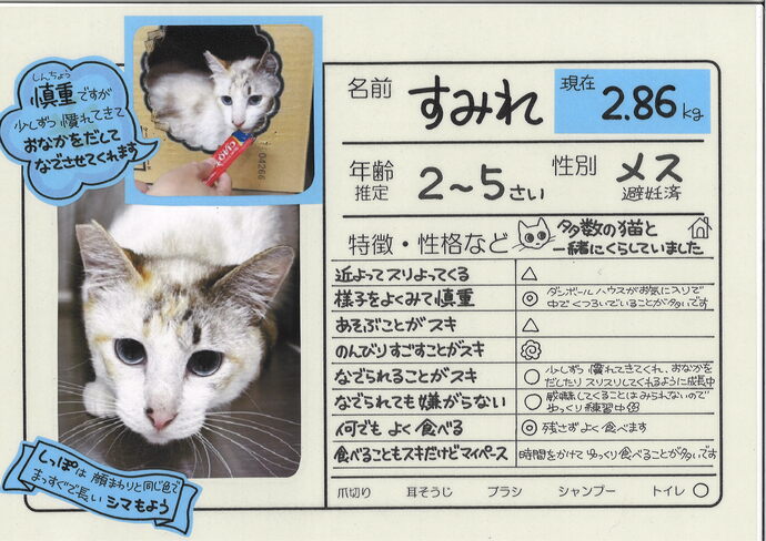 すみれ