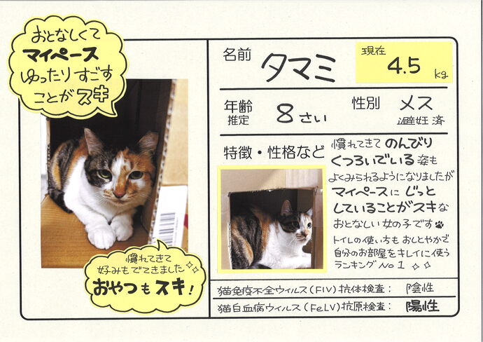 たまみ
