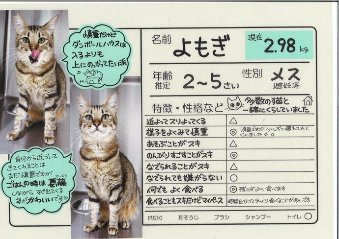 よもぎ