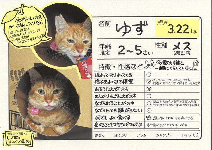 ゆず