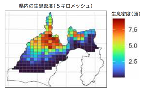 クマの生息密度