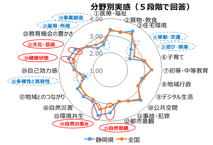分野別レーダーチャート