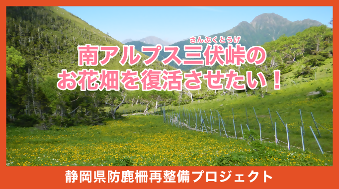 クラウドファンディングメイン画像