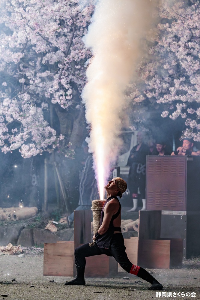 写真:桜の風景部門入選4