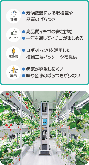 事例紹介。課題:気候変動による収穫量や品質のばらつき。解決策:ロボットとAIを活用した植物工場パッケージを提供。メリット:高品質イチゴの安定供給、一年を通してイチゴが楽しめる。成果:病気が発生しにくい、味や色味のばらつきが少ない。