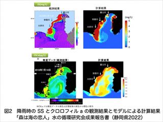 降雨時のSSとクロロフィルaの観測結果とモデルによる計算結果