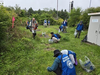 除去作業の様子