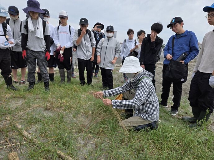 海浜植物紹介の様子