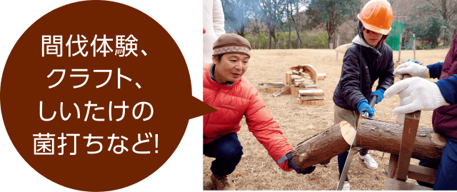 間伐体験、クラフト、しいたけの菌打ちなど!