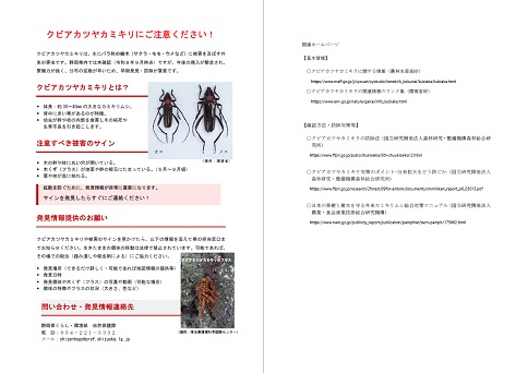 チラシ(クビアカツヤカミキリにご注意ください!)