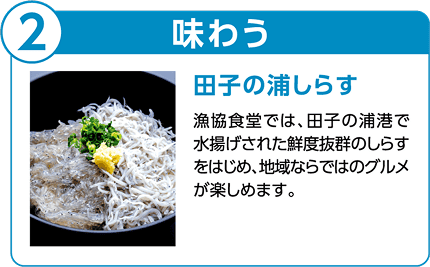 2 味わう 田子の浦しらす。漁協食堂では、田子の浦港で水揚げされた鮮度抜群のしらすをはじめ、地域ならではのグルメが楽しめます。生しらすと釜揚げしらすをたっぷり盛り、ねぎとしょうがを添えたしらす丼の写真。