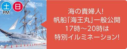 土曜午後・日曜 海の貴婦人!帆船「海王丸」一般公開 17時から20時は特別イルミネーション!岸壁に停泊する白い帆船「海王丸」の写真。