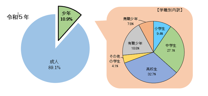 グラフ：R4少年の非行