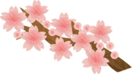 イラスト：桜