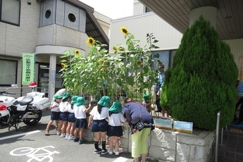 写真：細江保育園児による水やり