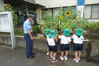 写真：細江保育園児による水やり